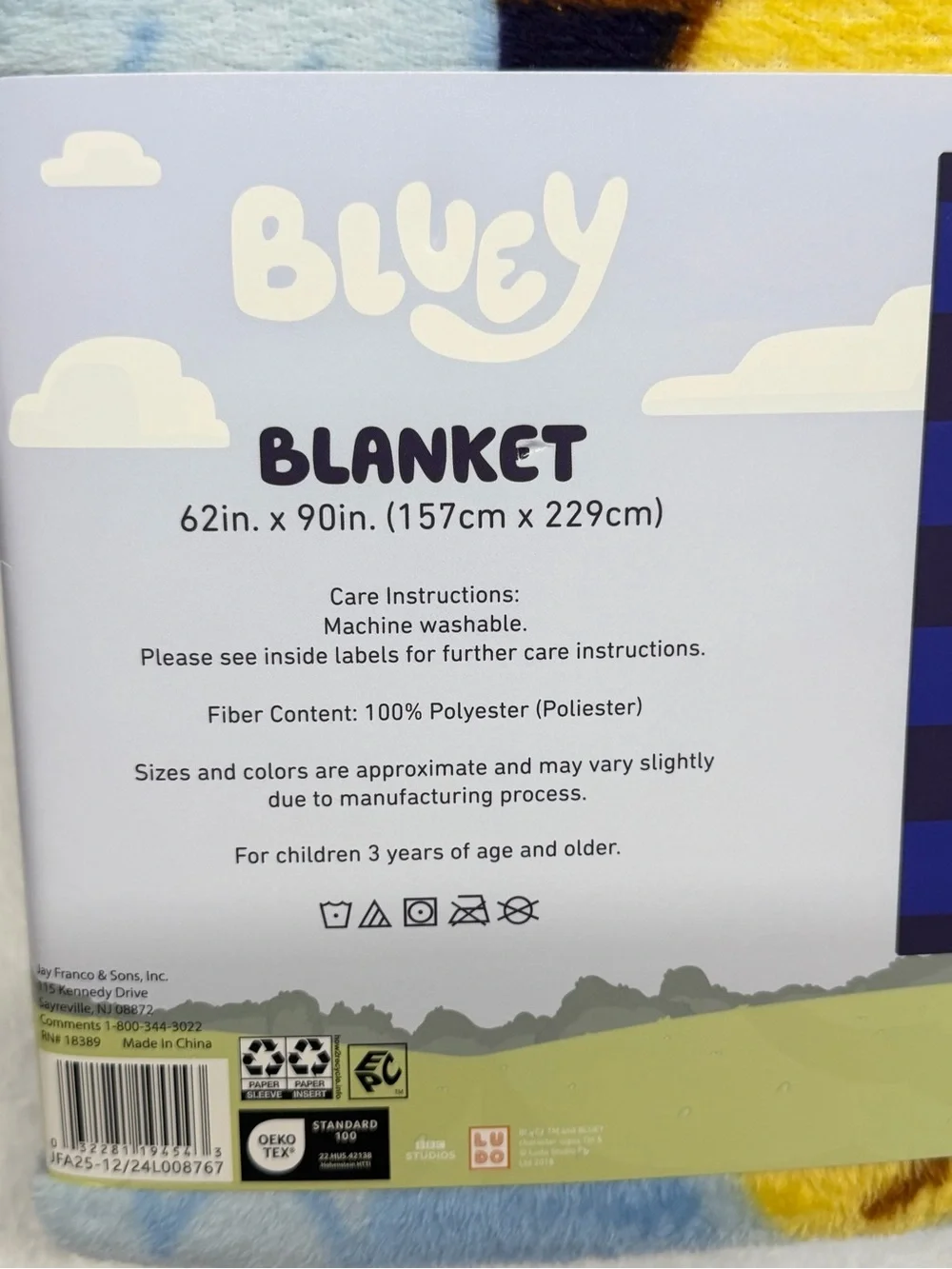 Bluey Blanket Twin Full Size Kids Soft Plush Throw 62x90
